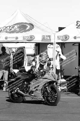media/Oct-06-2023-Apex Assassins (Fri) [[5cb57a08ab]]/Around the Pits/